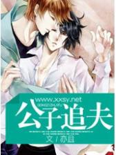 农家小寡妇 小说